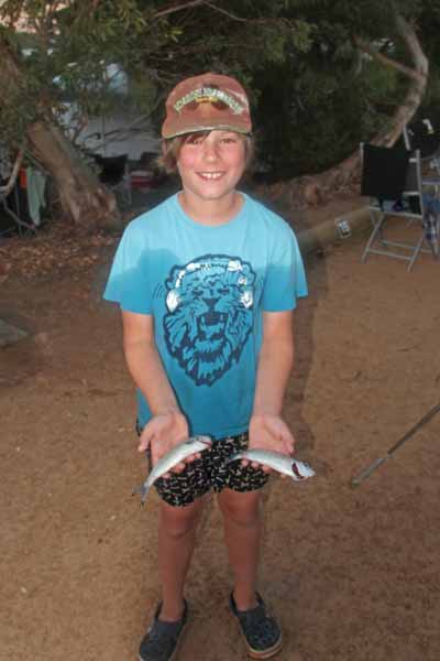 Mikkos Fische